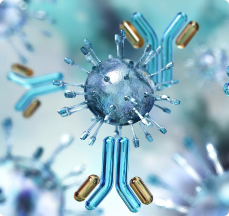 Peptides 3