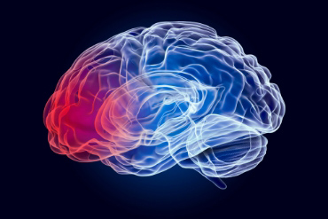 Traumatic Brain Injury Service Item