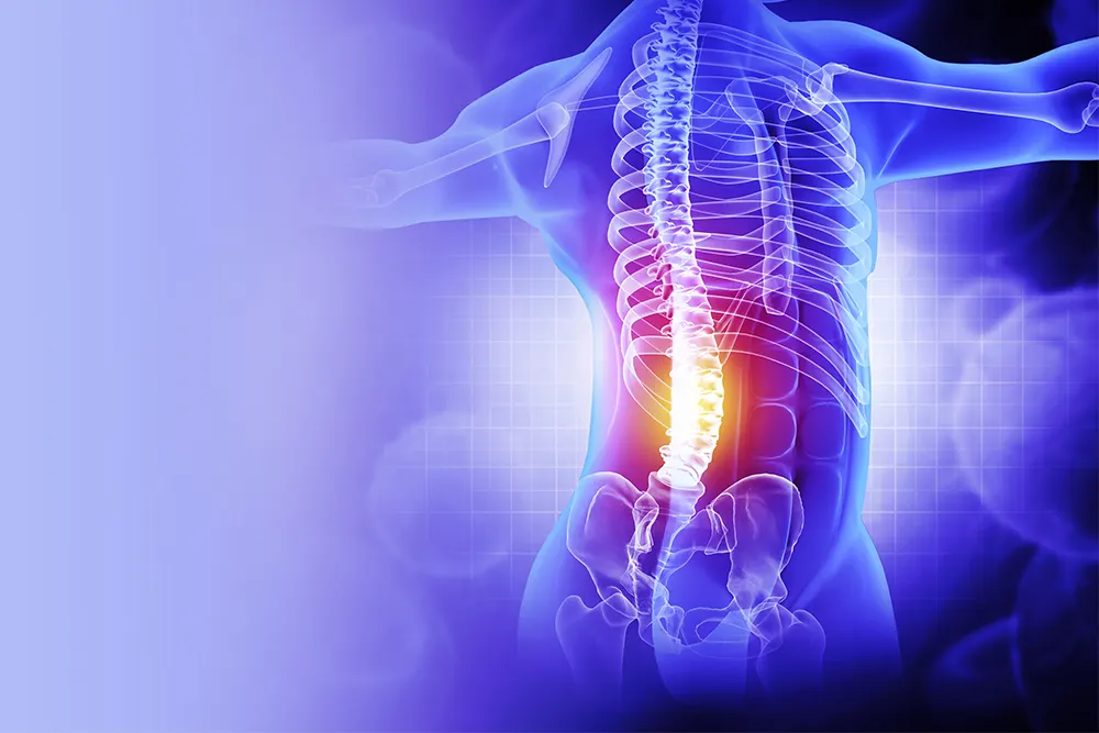 Lumbar Spine